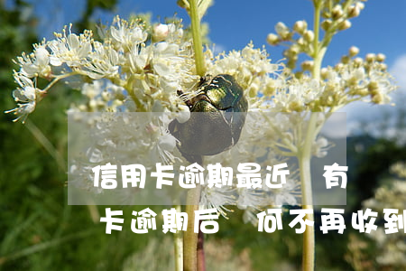 信用卡逾期最近沒有電話短信了怎么辦，信用卡逾期后，為何不再收到催收電話和短信？該怎么做？